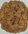 Oatmeal Apricot